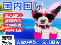 路桥航空物流国际宠物托运 【国